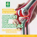 Meridiano de Estómago