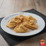 WON  TON FRITOS DE CARNE