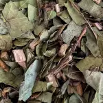 CHÁ VERDE