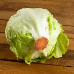 Lechuga