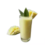 ABACAXI COM HORTELÃ