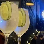 GIN TONIC