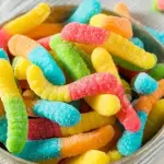 Gusanos