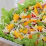 SALADA TROPICAL KG