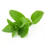 Peppermint Package 30 G