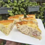 QUICHÉ CARNIVORO