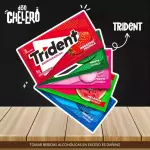 TRIDENT X 8.5 CHICLE X 1U