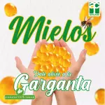 Mielos