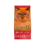 Special Cat Adulto Carne 10,1kg