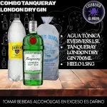 Gin Tanqueray + Agua Tónica + Hielo