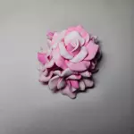 Rosas fucsias