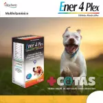 ENER 4 PLEX ADULTO