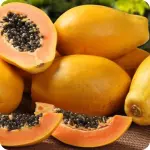 🔥Promoção Mamao Papaya p🔥 3 unid