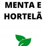 Menta e Hortelã