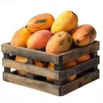 Mangoes