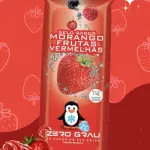 Gelo de Frutas Vermelhas