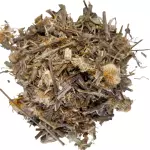 Arnica