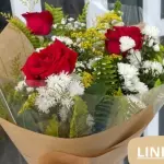 3 rosas vermelhas- RD