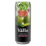 SUCO VALLE GOIABA