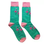 Flamingos