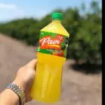Agua naranjita Pavi L