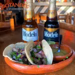 Tacos de Arrachera (2)