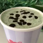 Chocomenta 500ml