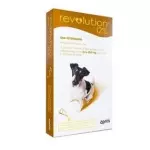 REVOLUTION - MARROM CÃES ATÉ 10KG