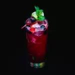 MOJITO FRUTOS ROJOS