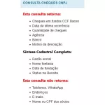 CONSULTA CHEQUES CNPJ