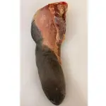 LENGUA DE RES