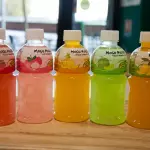 Mogu Mogu (320 ml)