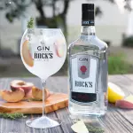 GIN TONICA ROCKS