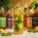 🥃 Mojito Jack Daniel´S A TU PINTA