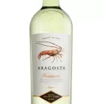 Aragosta (bott.)