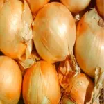 CEBOLLA  2 KILOS TRENZA