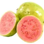 SUCO GOIABA 300ML