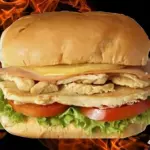 X- Frango Tudo