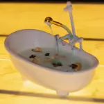 BAÑO DE MEDUSA