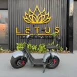 E-Scooter Citycoco 1000W
