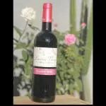 Lamothe Parrot Red Classic