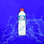 Agua Fonte da Ilha Com Gas 600ml