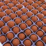 BRIGADEIRO