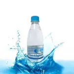 Água sem Gás 500ml