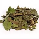 Chá verde