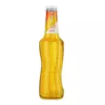 SKOL BEATS GIN TROPICAL 269ML