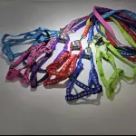 Pecheras Colores MCh