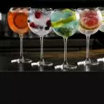 Drink Gin Tonica Sabores