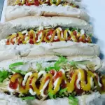 DOG COMPLETO