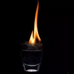 Cucaracha encendida